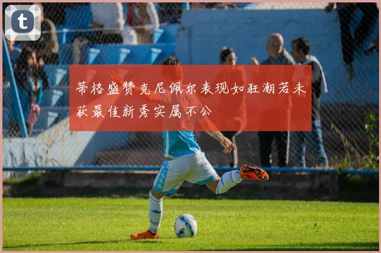蒂格盛赞克尼佩尔表现如狂潮若未获最佳新秀实属不公